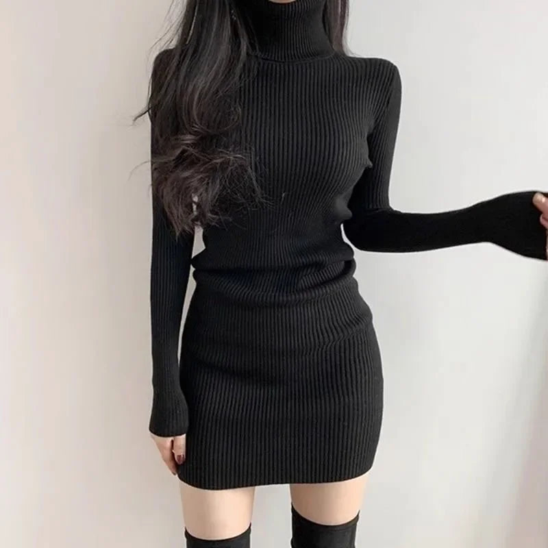 Fanan 2024 New Turtleneck Sweater Dresses Lady Sexy Slim Streetwear Bodycon Mini Dress Women Thick Basic Bottoming Dress Woman